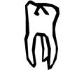 Tooth 17