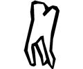 Tooth 18