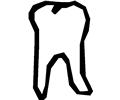 Tooth 19
