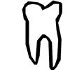 Tooth 20