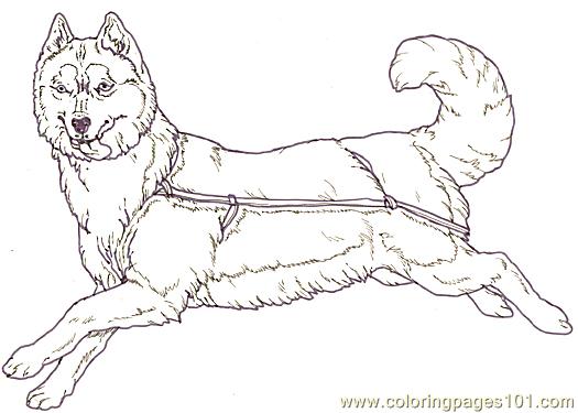 iditarod coloring pages for kid - photo #16