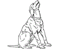 Dog Puppy Coloring Page 21