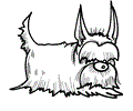 Dog Puppy Coloring Page 32