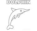 Dolphin Free Coloring Page