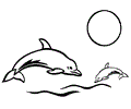 Dolphin Coloring Page 11