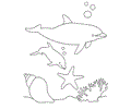 Dolphin Coloring Page 13