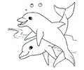 Dolphin Coloring Page 15