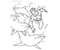 Dolphin Coloring Page 19