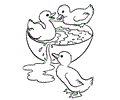 Duck Coloring Page 11