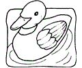 Duck Coloring Page 14