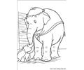 Dumbo 18