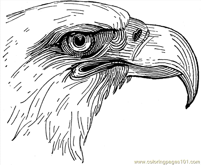 eagle holding a fish coloring pages - photo #46
