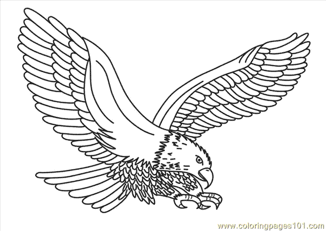 eagle coloring pages print - photo #33