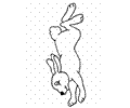 Rabbit2