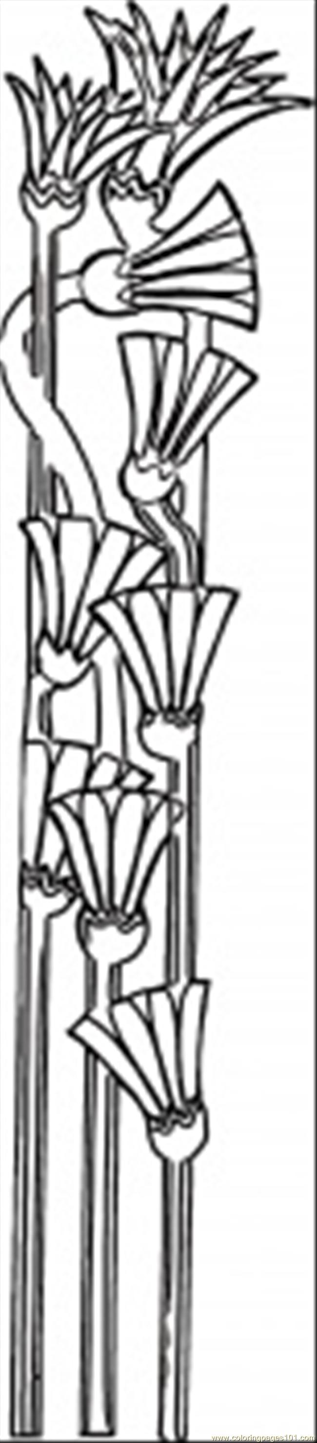 Coloring Pages Flower Of Papyrus (Countries > Egypt) - free printable
