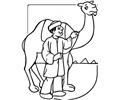 Camel And Egyptian Man