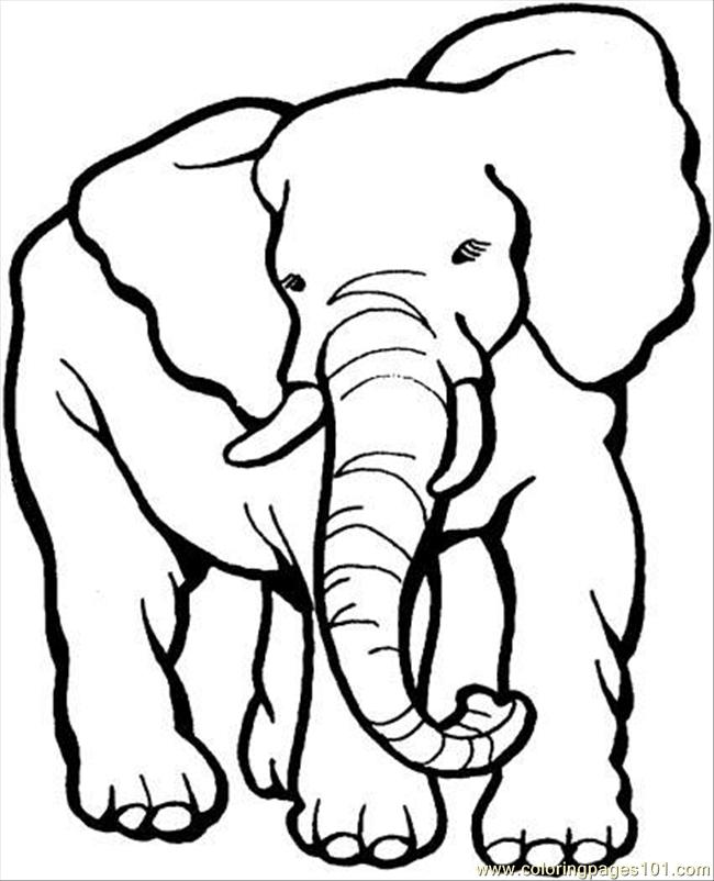 Coloring Pages Elephant 9 Coloring Page (Animals ...