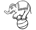 Circus Elephant