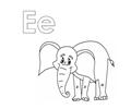 E Elephant