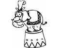 Elephant Acting