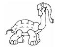 Elephant Turtle