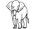 Elephant Coloring Page 18