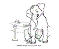 Elephant Coloring Page 20