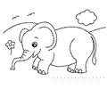 Elephant Coloring Pages