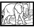 Elephant Rdax 65