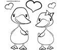 16 Ducks 3