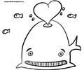 17 Whale 3