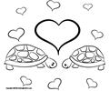 21 Turtles 3