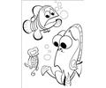 Dont Touch Jelly Fish