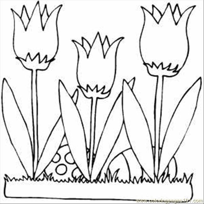 calla lillies coloring pages - photo #40
