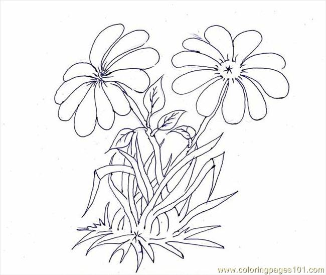 walnut coloring pages - photo #39