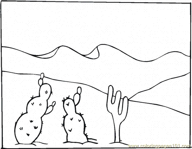 sonoran desert animals coloring pages - photo #35