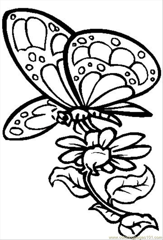 Coloring Pages Color The Butterfly Natural World ...