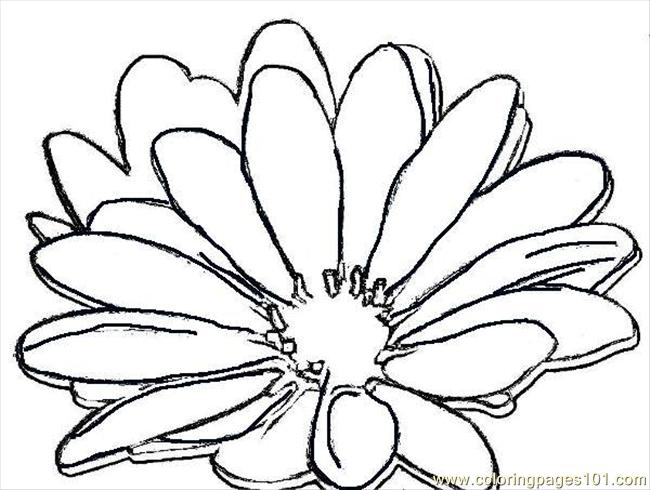 daisy printable coloring pages - photo #34
