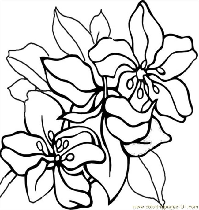 Coloring Pages Flower Coloring Pictures 6 (Natural World > Flowers