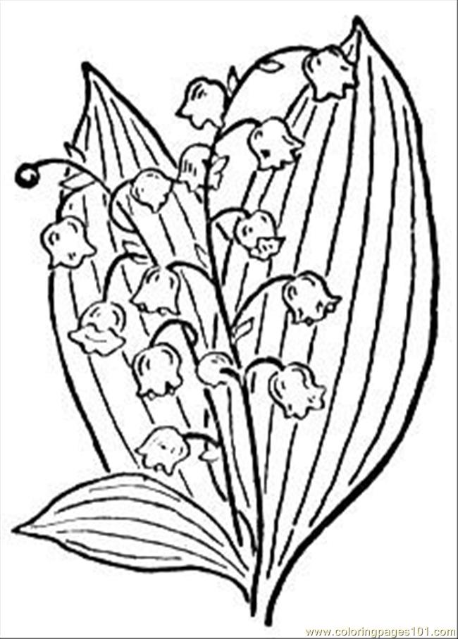 Coloring Pages Lily Of The Valley 2 (Natural World > Flowers) free