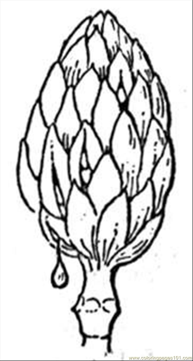 magnolia flower coloring pages - photo #31