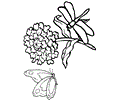 Flower Coloring Pages Dragonfly6