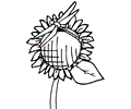 Flower Coloring Pages Dragonfly7
