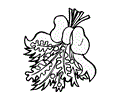 Flower Coloring Pages Mistletoe1