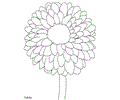 Flower Coloring Pages Sws
