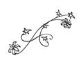 And Lilies A