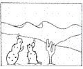 Cactus In The Desert