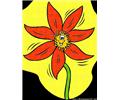 Sun Flower