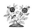 Roses In Blossom With A Bird
