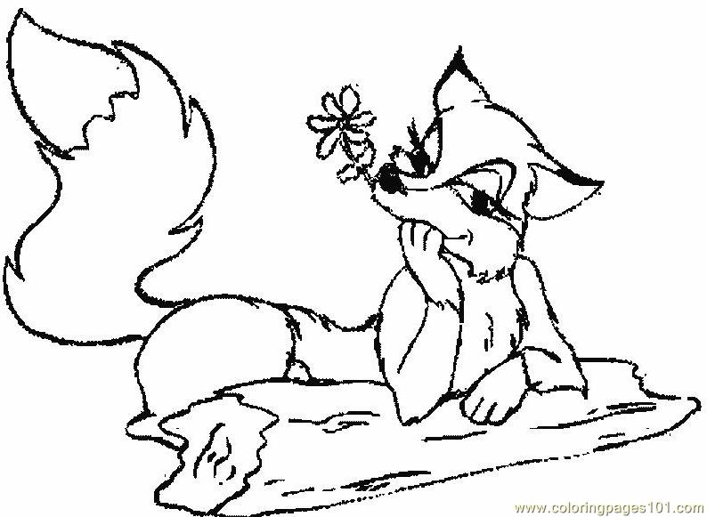 Coloring Pages Fox (Animals > Fox) - free printable coloring page online